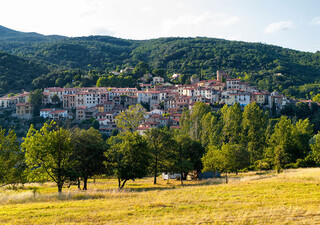Locaux mixtes
