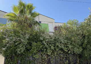 T2